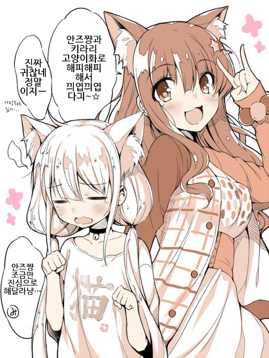 이화기획 이미지