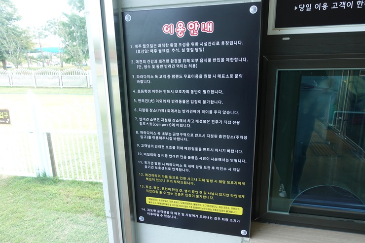 파라다이스독 이미지