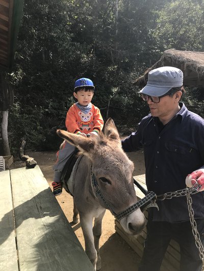 마차박물관 이미지