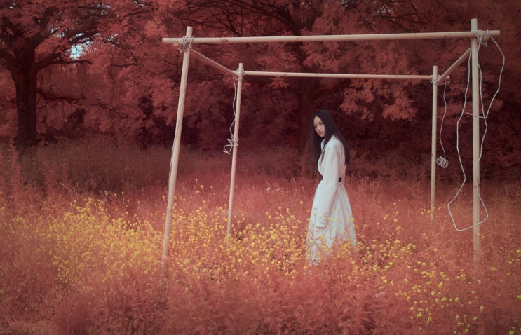 솔베 이미지