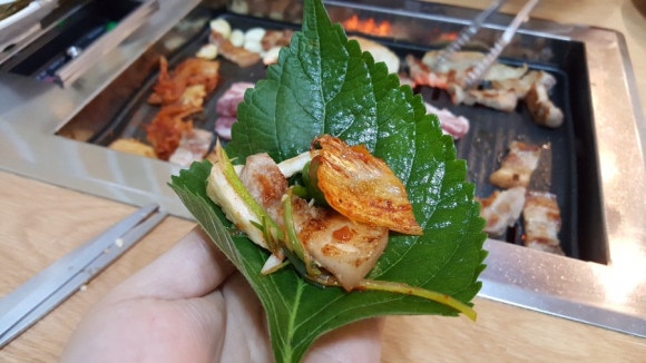 부강 꿀돼지 이미지