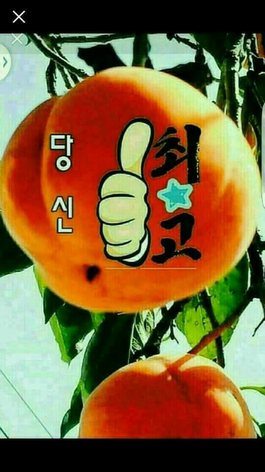 울산광역시제2장애인체육관 이미지