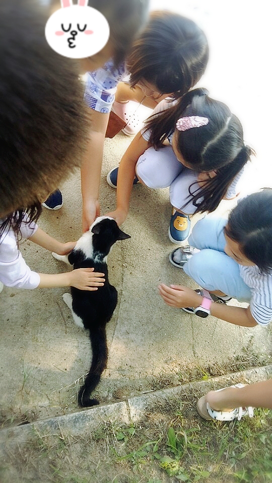뉴강서양천키즈 이미지