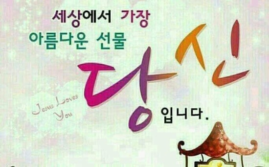일품샤브샤브 이미지