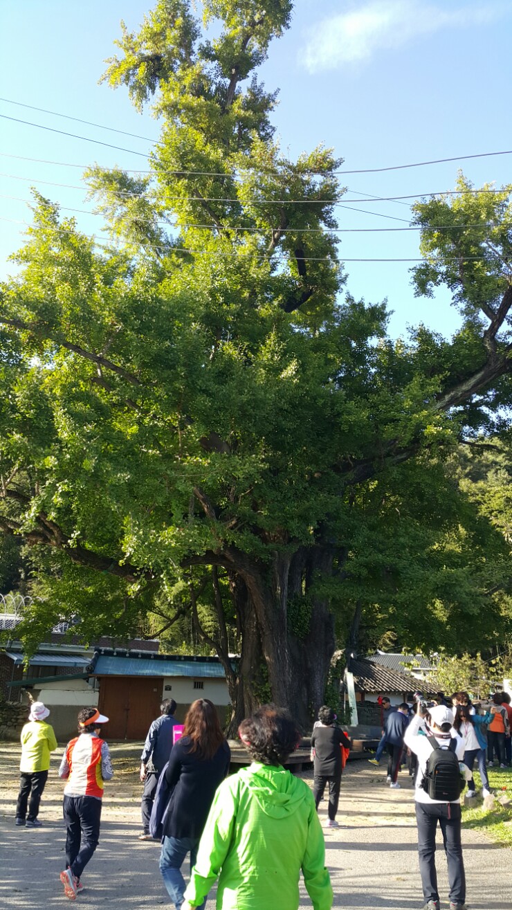 고인돌직매장 이미지