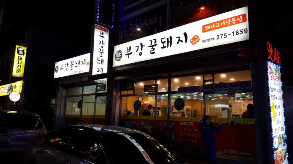 부강 꿀돼지 이미지