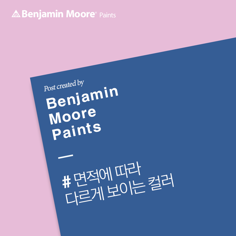 더벤자민 이미지