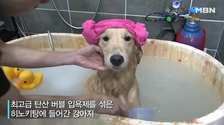 에꼴드미용실 이미지