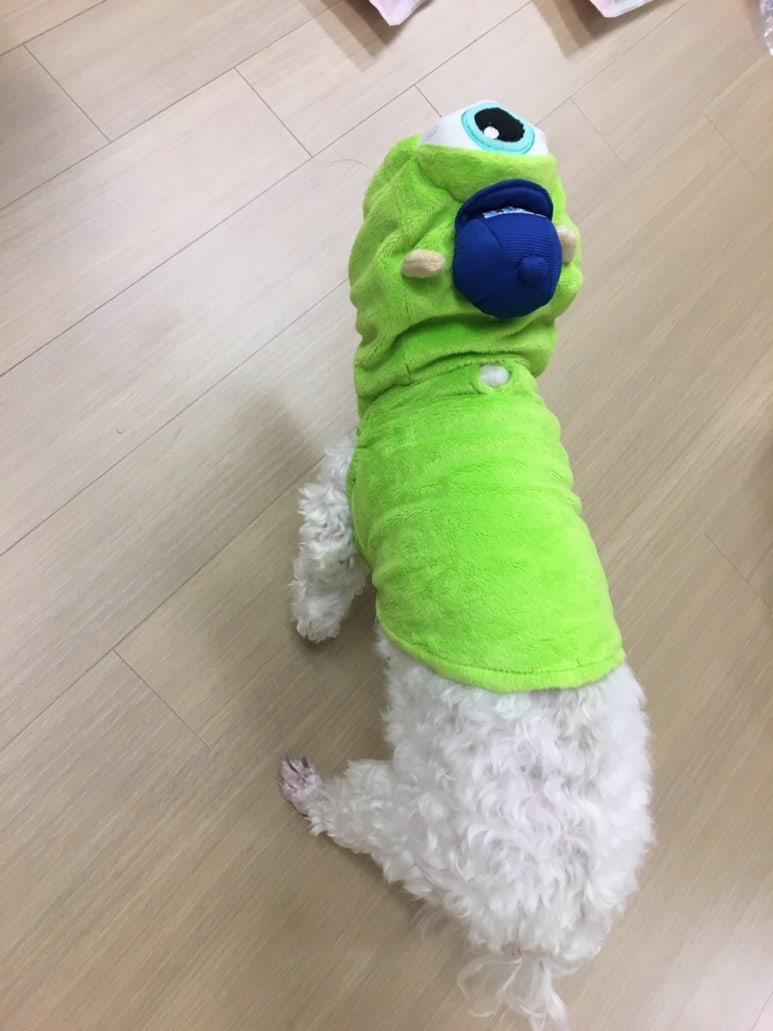 금비유통 이미지