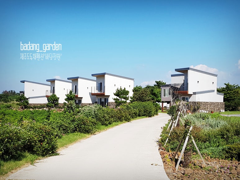 바당돌담 이미지