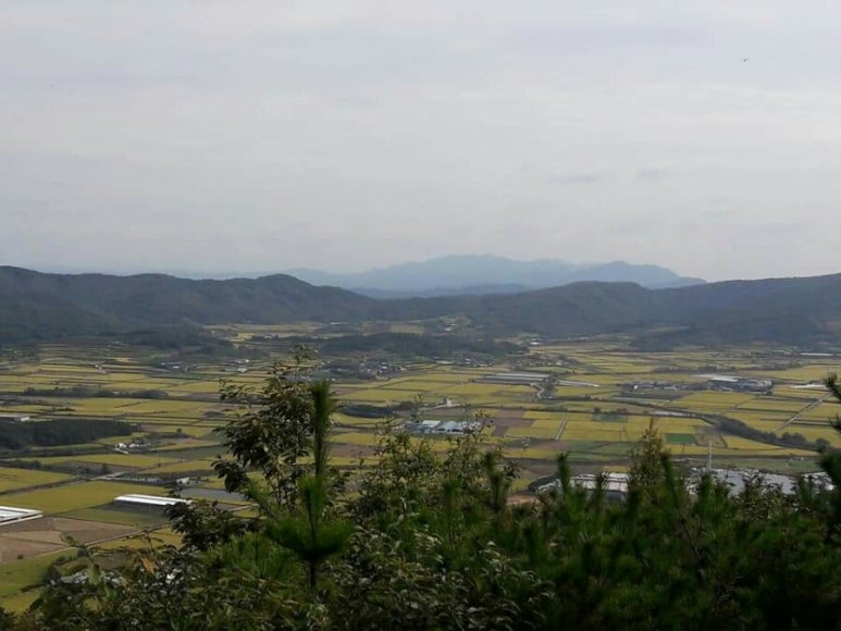 남예천농협 하나로마트 이미지