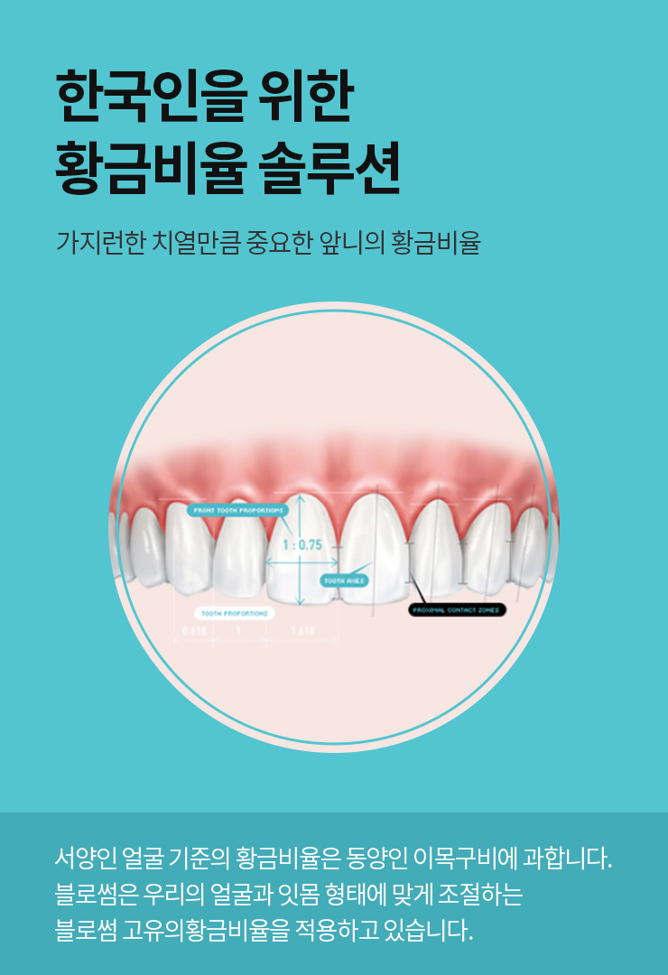 가야미과 이미지