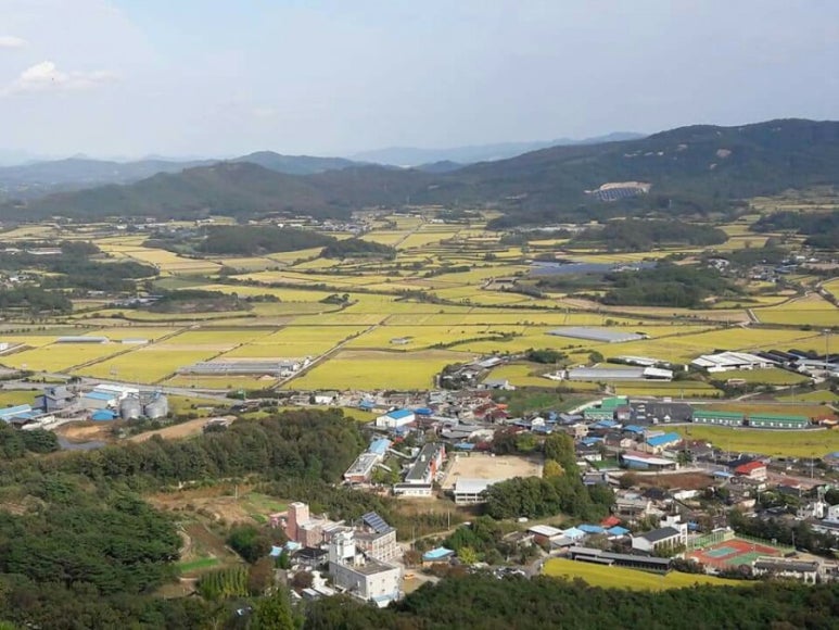 남예천농협 하나로마트 이미지