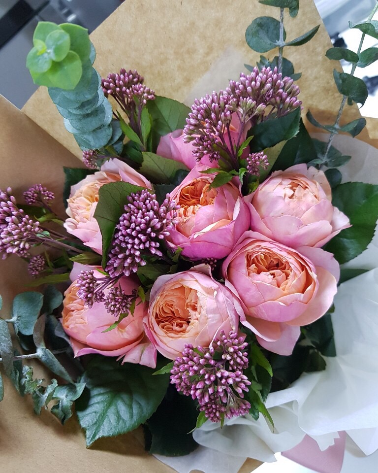 꽃방해바라기 이미지