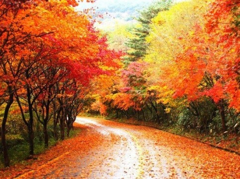 세명여행사 이미지