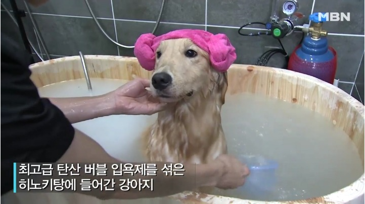 에꼴드미용실 이미지