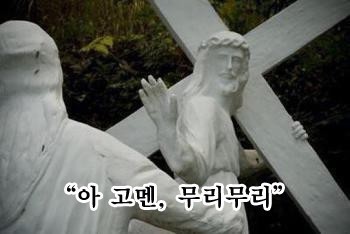 주식회사 하야 이미지