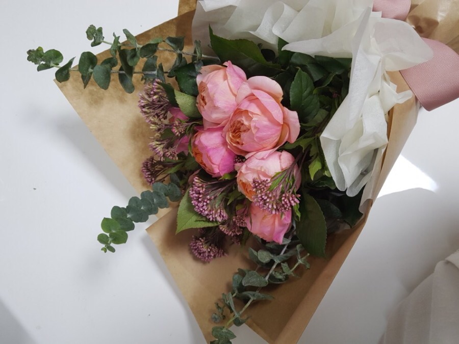 꽃방해바라기 이미지