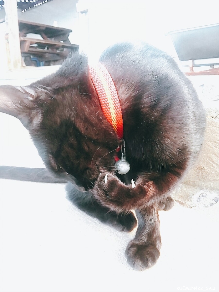 팔도민박 이미지