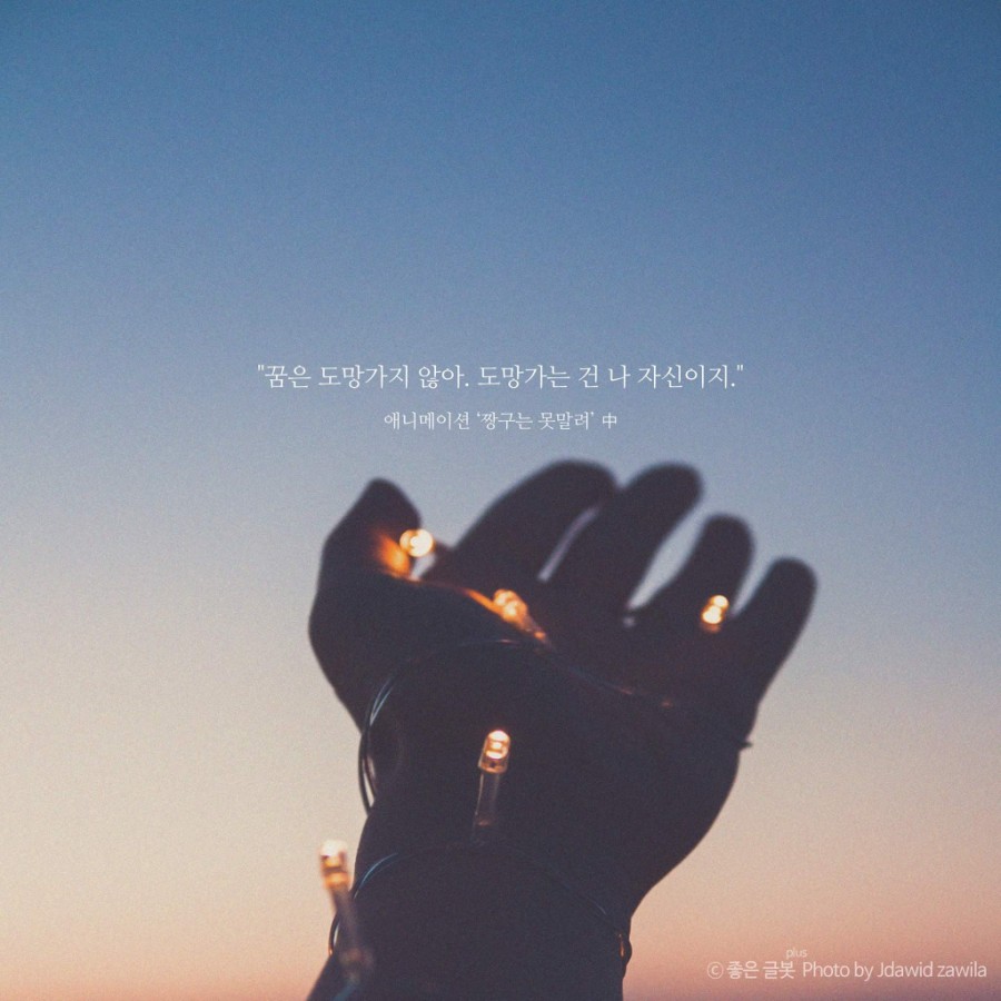 타이펑 이미지