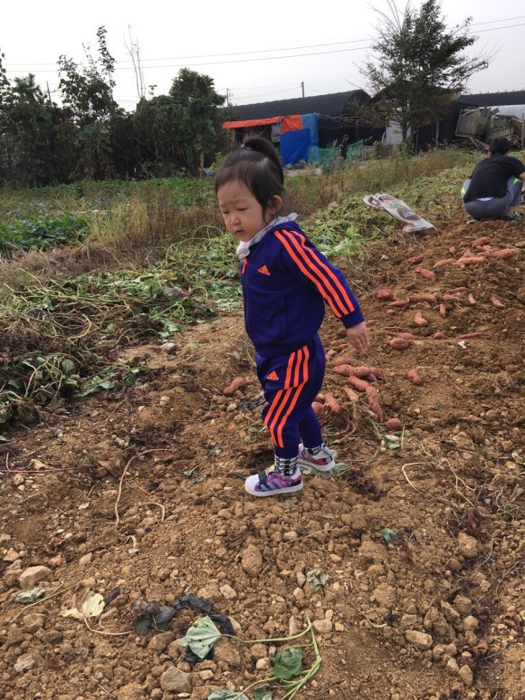 나이스실내낚시터 이미지