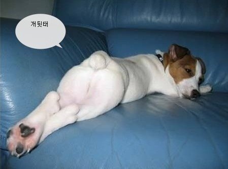 중흥피아노학원 이미지