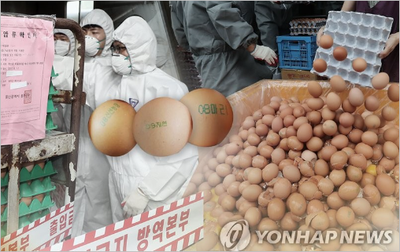 금란마트 이미지