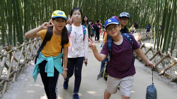 외솔초등학교 이미지