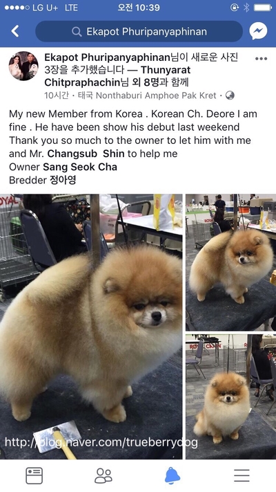 살롱드파인 이미지