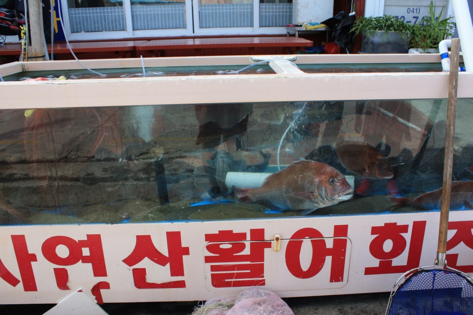 동성민박 이미지