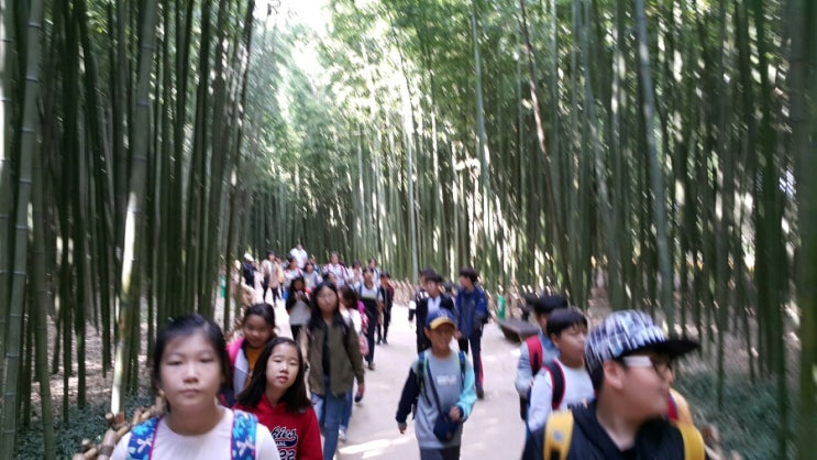 외솔초등학교 이미지