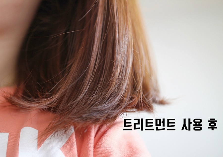 제이나인 이미지