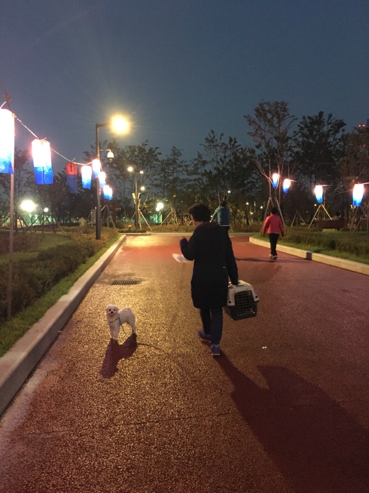 용식당 이미지
