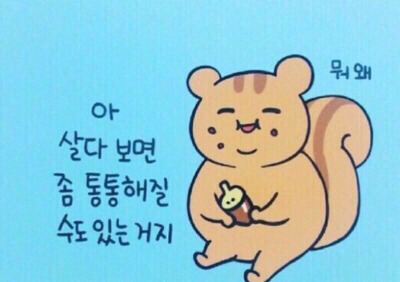 썬더치킨 이미지