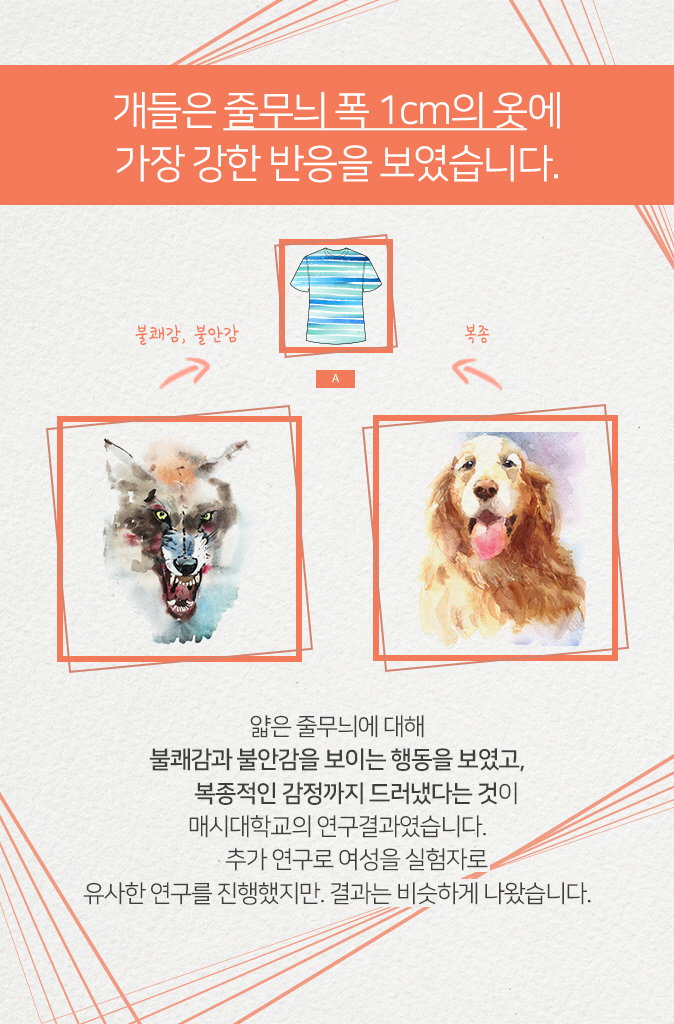 든든패션 이미지