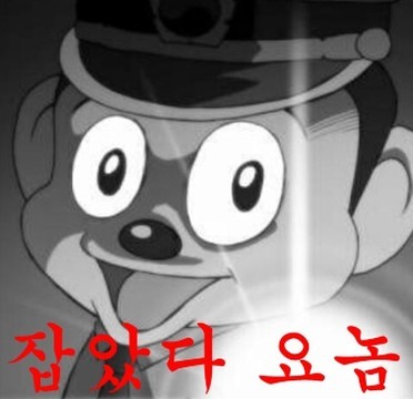 코끼리손세차 이미지