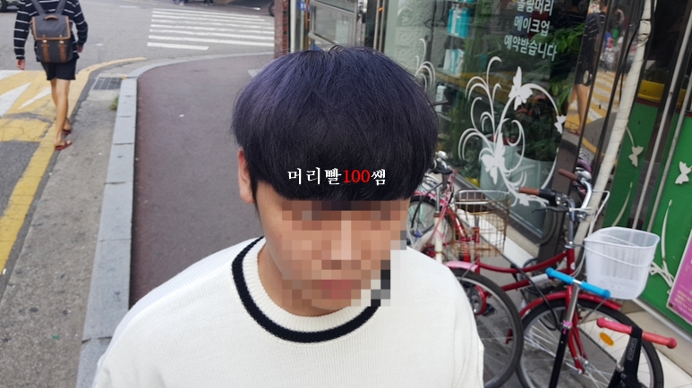 블루투퍼플 이미지