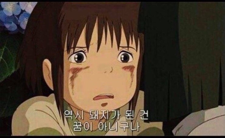 곰아줌칼국수 이미지