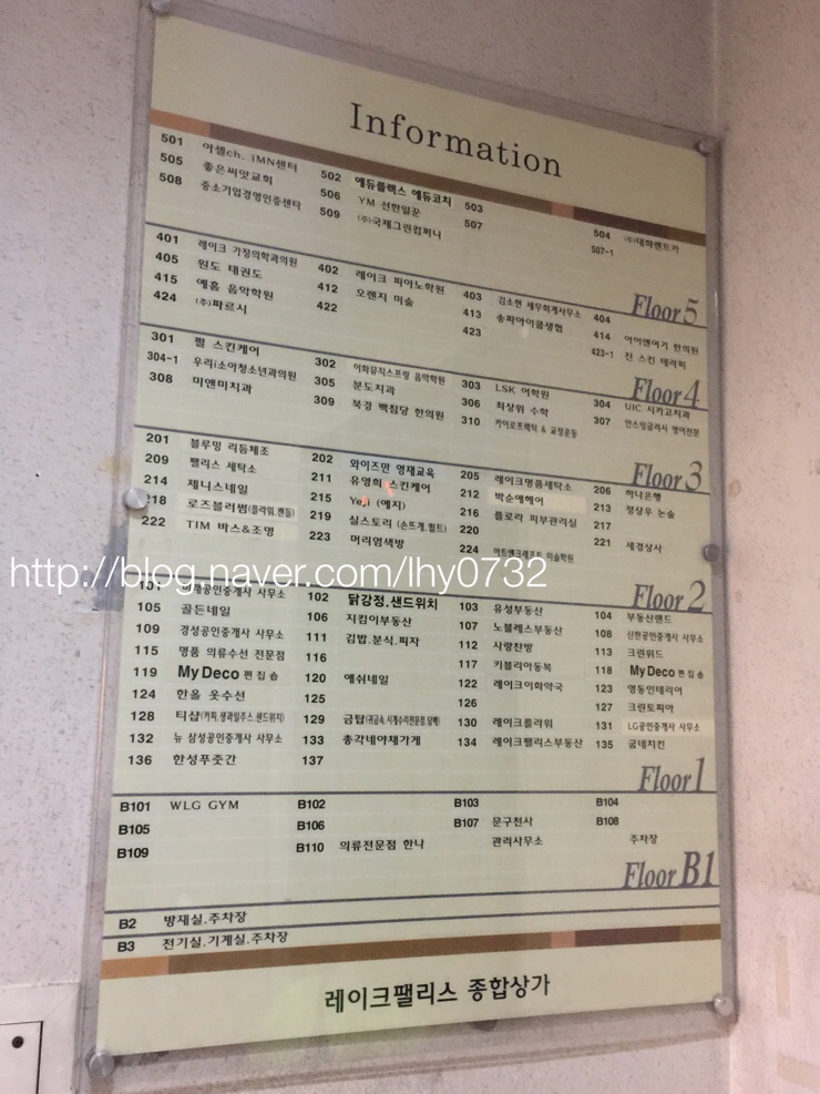 카이로바른척추교정 이미지