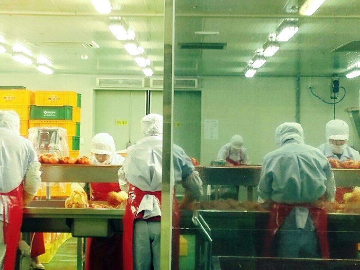 비에스푸드 이미지
