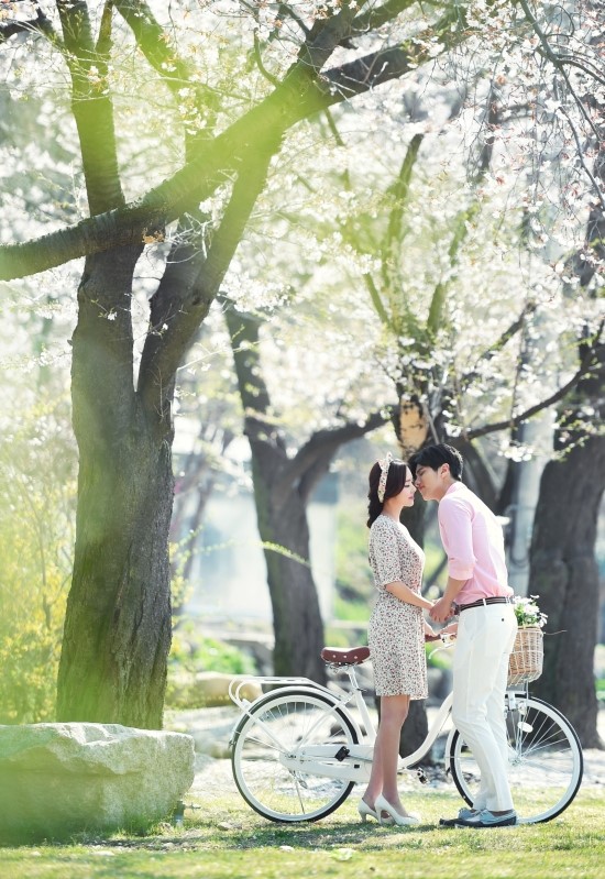 나드리사진관 이미지