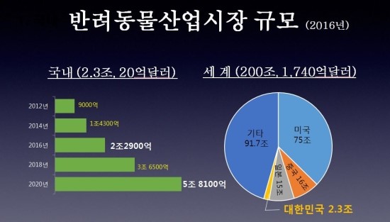 이미지데오 이미지