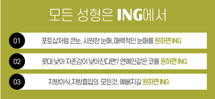아이앤지(ing) 이미지