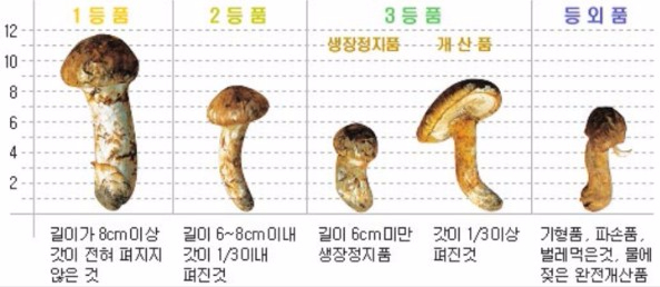 해성유통 이미지