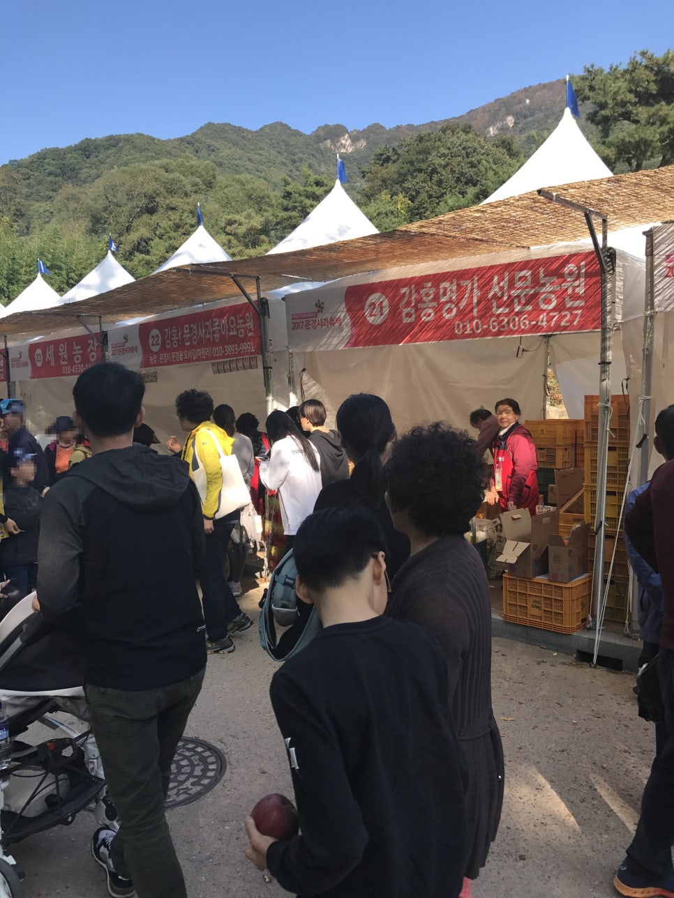 선문농원 이미지