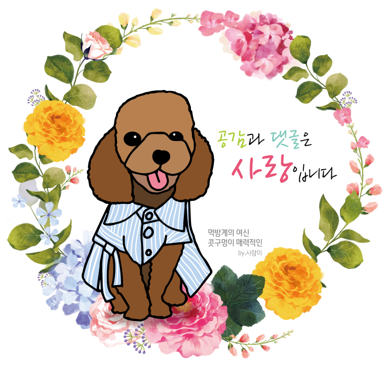 카쉐프 이미지