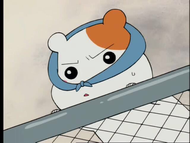 비앙비앙 이미지