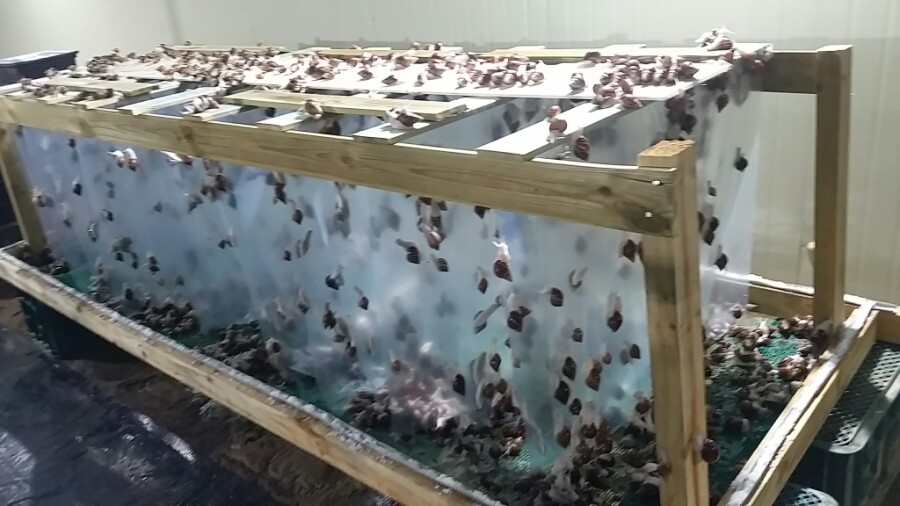 마실길 걷는 달팽이 농장 이미지