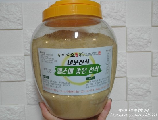 대보선식 이미지