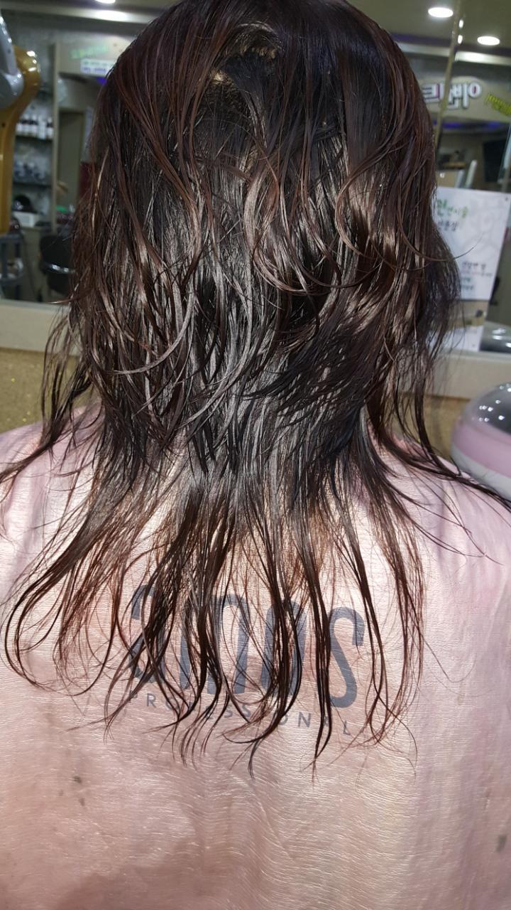 향기나라 이미지